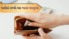Vastu Tips: પર્સમાં આ વસ્તુઓ રાખતા જ ખુલશે કમાણીના રસ્તા