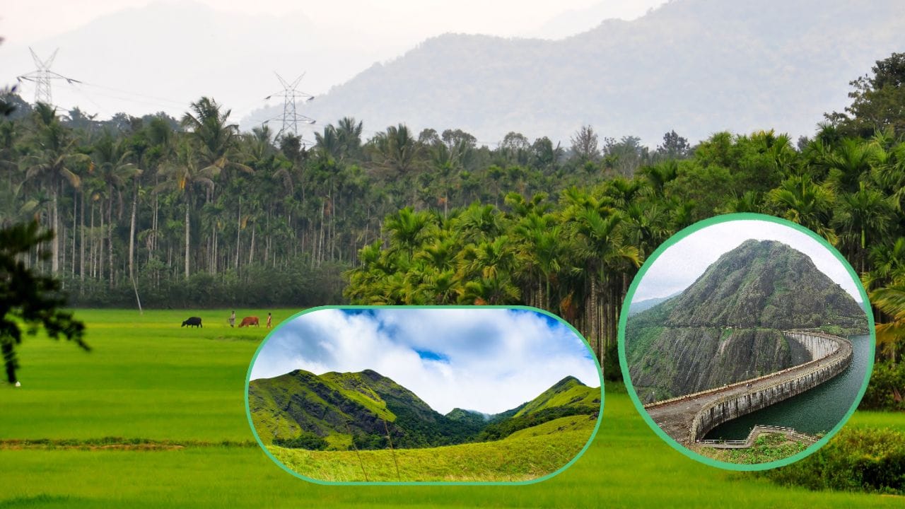 વાયનાડ કેરળમાં આવેલું એક સુંદર પ્રવાસ સ્થળ છે, જ્યાં કુદરતી નજારા ભરપૂર છે. અહીં તમે એડીકુલા Caves, માનન્થવાડી, વાયનાડ વન્યજીવન અભયારણ્ય,  ચંદ્રગિરી કિલ્લો, સોફાલા ધોધ અને ઇડુક્કી ડેમ જેવા સ્થળો જોઈ શકો છો. ઉનાળામાં અહીં તાપમાન લગભગ 30°C રહે છે, જ્યારે શિયાળામાં તે લગભગ 10°C સુધી ઘટે છે. અહીં ફરવા માટે તમને માત્ર કેમેરા અને થોડો ખર્ચ જ જરૂરી છે. (Credits: - Wikipedia)