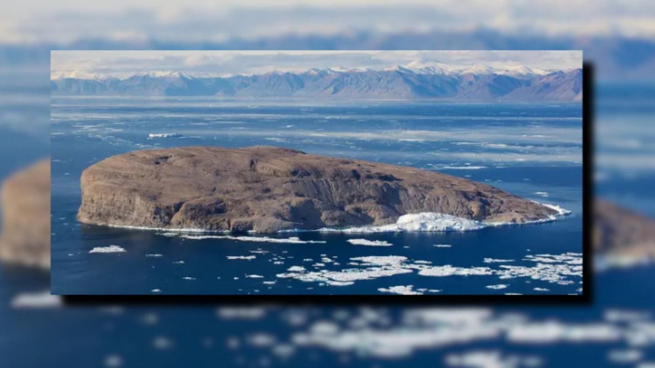 આ આખા વિવાદનું કેન્દ્ર છે 'હંસ આઇલેન્ડ' (Hans Island). કેનેડાના એલ્સમિયર આઇલેન્ડ અને ડેનમાર્કના શાસન હેઠળના ગ્રીનલેન્ડ વચ્ચેના બરફીલા પાણીમાં સ્થિત આ ટાપુનું કદ જાણીને તમે ચોંકી જશો. (Image Credit Source: Social Media)