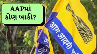 AAP MP: આમ આદમી પાર્ટીના પહેલા રાજ્યસભા સાંસદ કોણ હતા, જાણો હવે પાર્ટીમાં કેટલા સાંસદ બાકી છે?