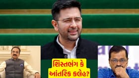 રાઘવ ચઢ્ઢા આઉટ, અશોક મિત્તલ ઇન: શું AAPમાં આંતરિક બળવો થયો?