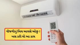 ACનું તાપમાન સેટ કરવામાં કરી આ ભૂલ તો વધારે આવશે વીજળીનું બિલ
