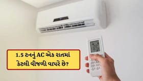 1.5 ટનનું AC એક રાતમાં કેટલી વીજળી વાપરે છે? જાણો અહીં