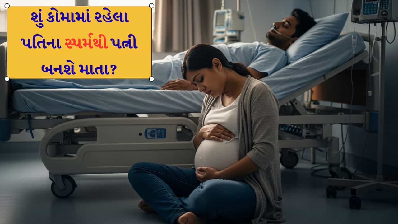 દિલ્હી હાઈકોર્ટમાં પહોંચ્યો દેશનો સૌથી અજીબોગરીબ કિસ્સો: કોમામાં રહેલા પતિના સ્પર્મથી પત્ની બનવા.....