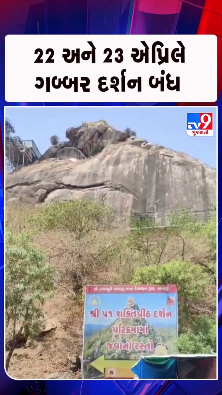 મધપૂડાની સમસ્યાને લઈને લેવાયો નિર્ણય