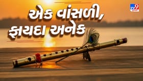 વિશ્વાસ નહીં આવે! એક વાંસળી બદલી શકે છે તમારું નસીબ