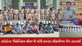 કરોડોના 'મિકેનિકલ સીલ'ની ચોરી કરનાર ચીકલીગર ગેંગને દહેજ પોલીસે દબોચી