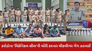 ભરૂચ : કરોડોના ‘મિકેનિકલ સીલ’ની ચોરી કરનાર ચીકલીગર ગેંગને દહેજ પોલીસે દબોચી લીધી, 6 ની ધરપકડ કરાઈ