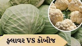 ફ્લાવર કે કોબીજ…કયું ખાવામાં વધુ ફાયદાકારક છે?