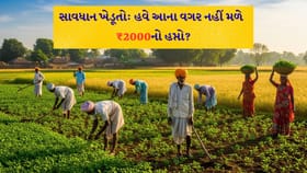 ખેડૂતો માટે સમાચાર ? 23મો હપ્તો મેળવવા હવે આ 'કાર્ડ' ફરજિયાત!