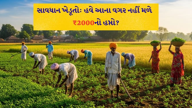 ખેડૂતો માટે સમાચાર ? 23મો હપ્તો મેળવવા હવે આ 'કાર્ડ' ફરજિયાત!