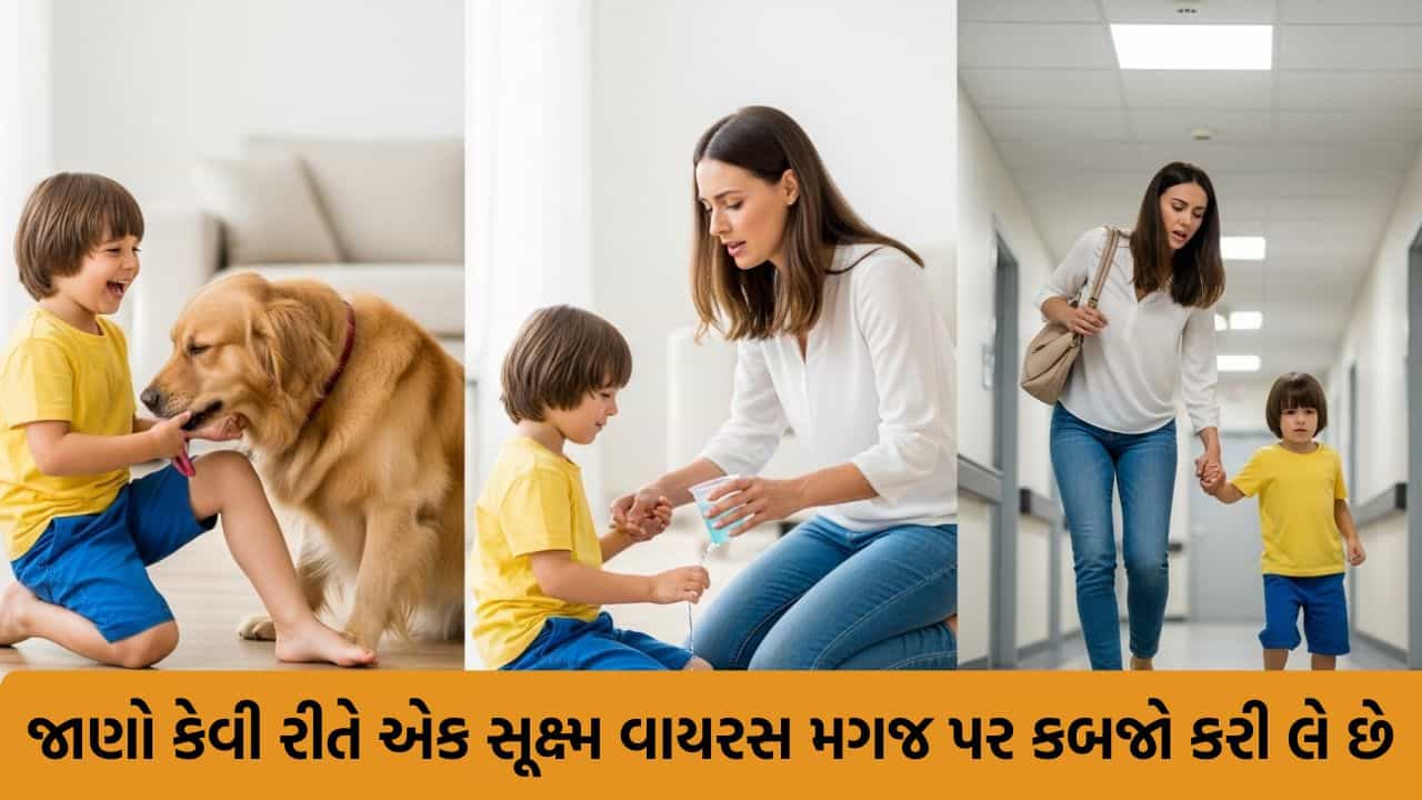 મોતનું બીજું નામ રેબિઝ ! કૂતરાના માત્ર ચાટવાથી કેવી રીતે ફેલાય છે આ અસાધ્ય રોગ ? જુઓ Viral Video