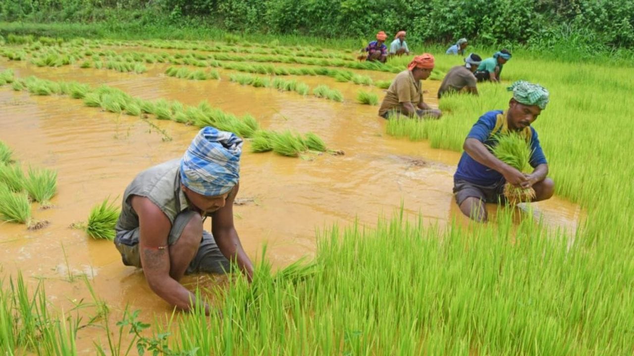 આ રાજ્યોમાં ખેડૂત ઓળખપત્ર ફરજિયાત છે: આંધ્રપ્રદેશ, આસામ, બિહાર, છત્તીસગઢ, ગુજરાત, કર્ણાટક, કેરળ, મધ્યપ્રદેશ, મહારાષ્ટ્ર, ઓડિશા, રાજસ્થાન, તમિલનાડુ, તેલંગાણા અને ઉત્તર પ્રદેશના ખેડૂતોએ ખેડૂત ઓળખપત્ર મેળવવું જરૂરી છે. આ રાજ્યોમાં નોંધણી વિના, તેમને યોજના હેઠળ લાભ મળશે નહીં.
