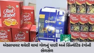 તમારી સવારની ચામાં ઝેર તો નથી ને? હૈદરાબાદમાં નકલી ચા પત્તીના મોટા કૌભાંડનો પર્દાફાશ, 3000 કિલો જથ્થો જપ્ત