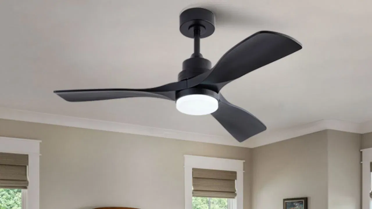 પંખાની બ્લેડ: પંખાની બ્લેડ મહત્વપૂર્ણ ઘટક છે. તે પ્રમાણમાં સીધી હોય તે રીતે ડિઝાઇન કરવામાં આવ્યા છે, જેમાં કેન્દ્ર તરફ થોડો વળાંક હોય છે. આ ચોક્કસ બ્લેડ આકારને શ્રેષ્ઠ માનવામાં આવે છે, કારણ કે તે મજબૂત હવા પ્રવાહ ઉત્પન્ન કરવામાં મદદ કરે છે. જો તમારા કોઈપણ પંખાના બ્લેડ કોઈપણ રીતે વળી ગયા અથવા વિકૃત થઈ ગયા હોય, તો પરિણામે તે હવા ઓછી ફેંકે છે. (ફોટો ક્રેડિટ-Google)