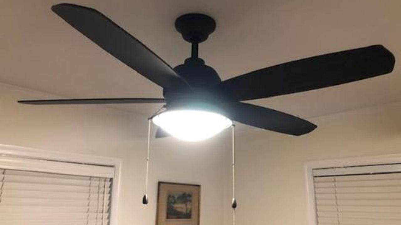 4 પાંખિયા વાળો પંખો: 3 પાંખિયા વાળા પંખાઓની તુલનામાં, 4 પાંખિયા વાળા પંખા થોડી ઓછી સ્પીડ પર ફરે છે, પરંતુ તે વધારે સ્મુથ હવા પ્રદાન કરે છે. આ પંખા ખાસ કરીને એવા વ્યક્તિઓ માટે યોગ્ય છે જેઓ ઓછો અવાજ અને સ્થિર, હળવી હવા પસંદ કરતા હોય છે. જો કે 4 પાંખિયા વાળા પંખાનો વીજળી વપરાશ 3 પાંખિયા વાળા પંખા કરતા થોડો વધારે હોઈ શકે છે, કારણ કે વધારાના પાંખિયા મોટર પર થોડો વધારે ભાર મૂકે છે.(ફોટો ક્રેડિટ-Google)