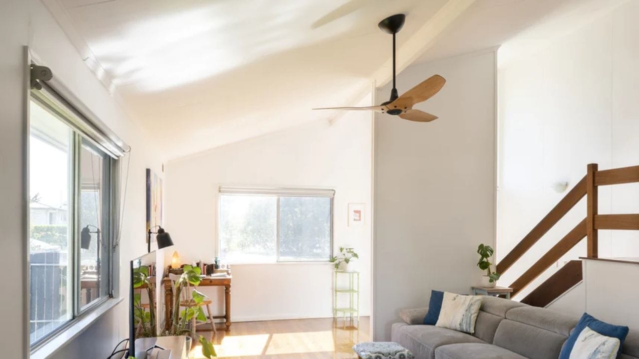 આ સિવાય 3 પાંખિયાને કારણે પંખાના યાંત્રિક ભાગો પર ઓછો ભાર પડે છે, જેનાથી મોટર વધુ સરળતાથી કાર્ય કરી શકે છે. આ જ કારણ છે કે 3-બ્લેડ ફેન વધુ હવા પ્રવાહ ઉત્પન્ન કરે છે અને રૂમને વધુ ઝડપથી ઠંડુ અનુભવ કરાવે છે.(ફોટો ક્રેડિટ-Google)