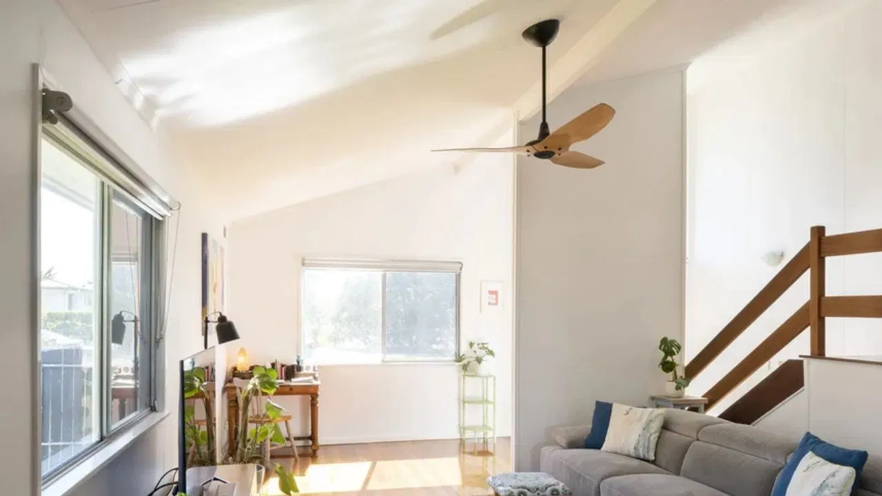 સર્વિસનો અભાવ: ઘણીવખત એવું પણ બને છે કે ઘણા વર્ષોથી પંખાની સર્વિસ કરવી ન હોય ત્યારે ગંદકી જમા થવાના કારણે પંખાની સ્પીડ ઘટી જાય છે આથી બને તો વર્ષમાં કે 6 મહિનામાં એકવાર પંખાની સર્વિસ કરાવવી જરુરી છે. (ફોટો ક્રેડિટ-Google)