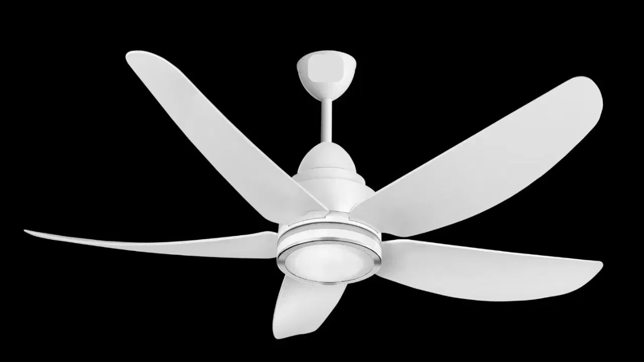 પંખા પર ધૂળ જામી જવી: જો પંખા પર ધૂળનો જાડો પડ જમા થઈ ગયો હોય, તો તમારે તેને સમયાંતરે સાફ કરવું જોઈએ. આમ કરવામાં નિષ્ફળતા પંખામાં ખામી સર્જી શકે છે; ધૂળ બ્લેડને ભારે બનાવે છે, જેના કારણે પંખો પૂર્ણ ગતિ પર સેટ હોવા છતાં પણ ધીમે ધીમે ચાલે છે. પરિણામે, તમારે પંખાને સાફ રાખવા પર ખૂબ ધ્યાન આપવું જોઈએ.(ફોટો ક્રેડિટ-Google)