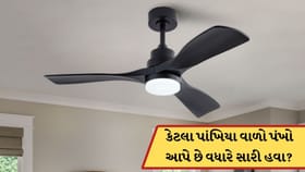 3, 4 કે 5...કેટલા પાંખિયા વાળો પંખો આપે છે વધારે ઠંડી હવા? જાણો અહીં