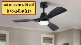 પંખાની સ્પીડ ઘટી ગઈ છે? તો ઘરે બેઠા કરી લો આ કામ, મીનિટોમાં થઈ જશે ઠીક