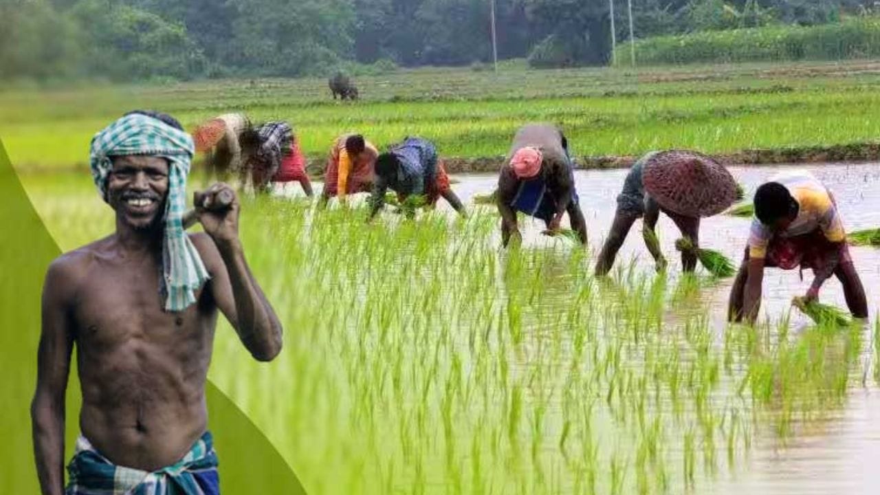 23મો હપ્તો ક્યારે આવશે?: PM કિસાન હપ્તા દર ચાર મહિને જાહેર કરવામાં આવે છે. 21મો હપ્તો નવેમ્બર 2025માં અને 22મો હપ્તો માર્ચ 2026માં આવ્યો હતો. તેથી એવી અપેક્ષા રાખવામાં આવે છે કે 23મો હપ્તો જૂન અથવા જુલાઈ 2026 સુધીમાં જાહેર કરવામાં આવશે, જોકે તારીખમાં ફેરફાર થઈ શકે છે.
