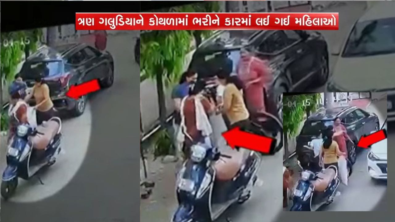 ગજબ કહેવાય, વડોદરામાં ગલુડીયાની ચોરી ! કોથળામાં ભરીને મહિલાઓ કારમાં ભાગી, વીડિયો વાયરલ