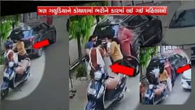 વડોદરામાં 3 મહિલા કોથળામાં ભરીને ગલુડીયા ચોરી ગઈ ! વીડિયો વાયરલ