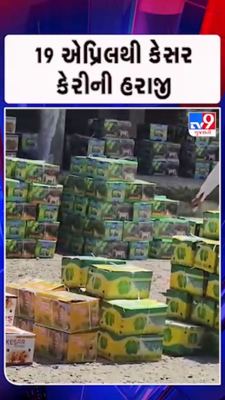 આ વર્ષે કેસર કેરીના ભાવ ઊંચા જોવા મળી શકે