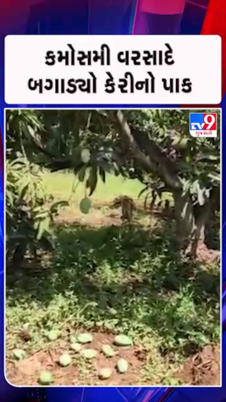 કુદરતી આફત સામે ખેડૂતોએ સહાયની કરી માગ