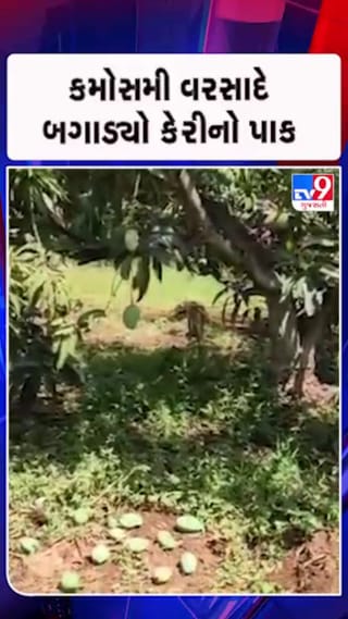 કુદરતી આફત સામે ખેડૂતોએ સહાયની કરી માગ