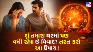 Vastu Tips : શું ઘરમાં સતત ઝઘડા થઈ રહ્યા છે ? ગૂગળ અને સરસવનો આ ઉપાય બદલી દેશે નસીબ !