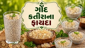 માત્ર શરબત જ નહીં, ગોંદ કતીરાનો આ 5 રીતે કરો ઉપયોગ અને ગરમીને કહો બાય