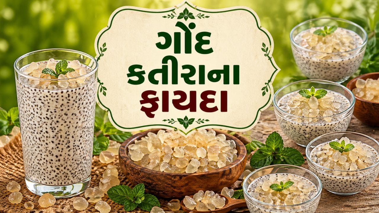 શાહી ફાલુદા: ઘરે બનાવેલા ફાલુદામાં ગોંદ કતીરા ઉમેરવાથી તેનો સ્વાદ અને ગુણ બંને વધી જાય છે. ઠંડા દૂધ, ગુલાબનું શરબત અને ફાલુદાની સેવ સાથે ગોંદ કતીરા મિક્સ કરવાથી તે શરીરને લાંબા સમય સુધી ઠંડક આપે છે.