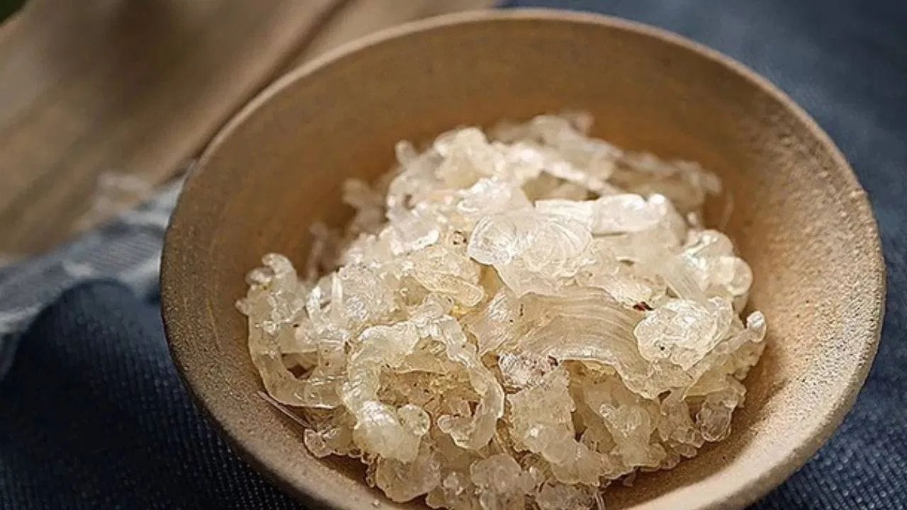 રિફ્રેશિંગ શરબત: સૌથી લોકપ્રિય રીત એટલે તેનું શરબત. રાત્રે ગોંદ કતીરાને પાણીમાં પલાળી દો, સવારે તે જેલી જેવો થઈ જશે. તેને ઠંડા દૂધ અથવા પાણીમાં મધ કે સાકર સાથે ભેળવીને પીવાથી શરીર તરત જ ઠંડું થઈ જાય છે.