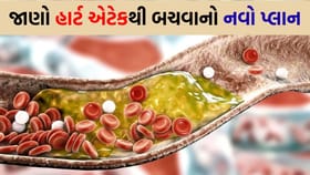 કોલેસ્ટ્રોલની નવી ગાઈડલાઈન: હવે 9 વર્ષની ઉંમરથી જ ચેકઅપ જરૂરી!