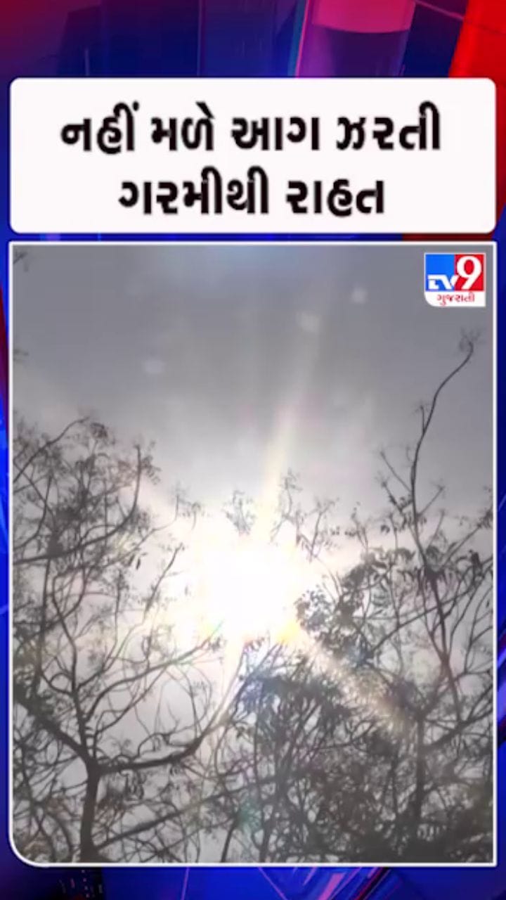 આગામી 48 કલાક અનુભવાશે ગરમીનો પ્રકોપ