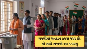 મતદાન કરવા જાવ છો, તો ગરમીથી બચવા જોડે લઈ જજો આ 5 વસ્તુઓ