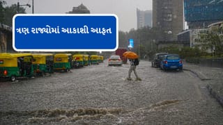 Breaking News :   3 રાજ્યમાં વાવાઝોડાએ વિનાશ વેર્યો, અન્ય રાજ્યમાં ભારે વરસાદની આગાહી