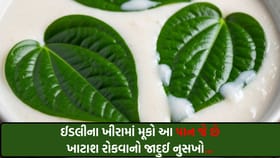 ઉનાળામા ઈડલીના ખીરાને ખાટુ થતુ અટકાવવાની બેસ્ટ હેક; બસ, ઉમેરો આ એક પાન
