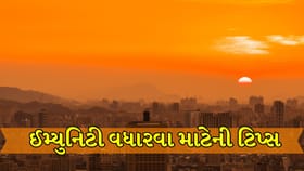 Health Tips: કાળઝાળ ગરમીમાં ઈમ્યુનિટી વધારવા માટે ફોલો કરો આ 10 ટિપ્સ