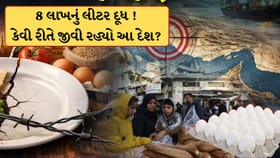 સવા લાખનું એક ઈંડુ, 8 લાખનું લીટર દૂધ ! આ દેશમાં મોંઘવારી ચરમસીમાએ