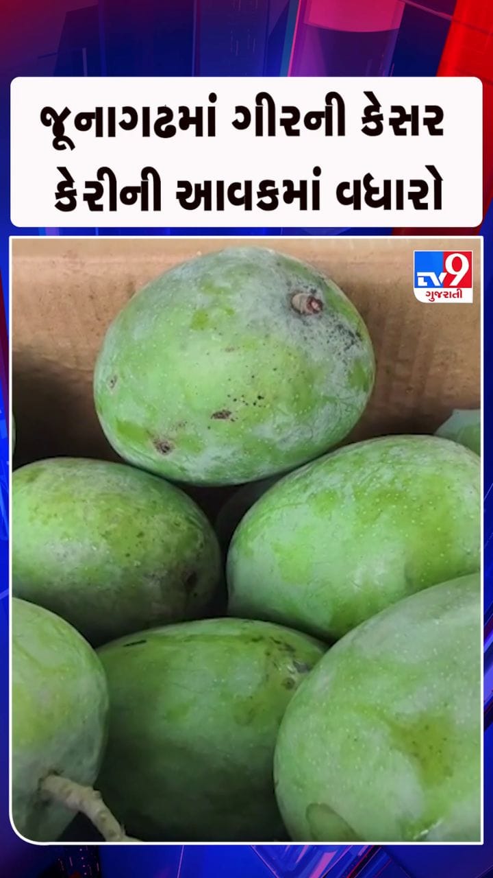 હરાજીમાં 10 હજાર જેટલા કેરીના બોક્સની થઈ આવક
