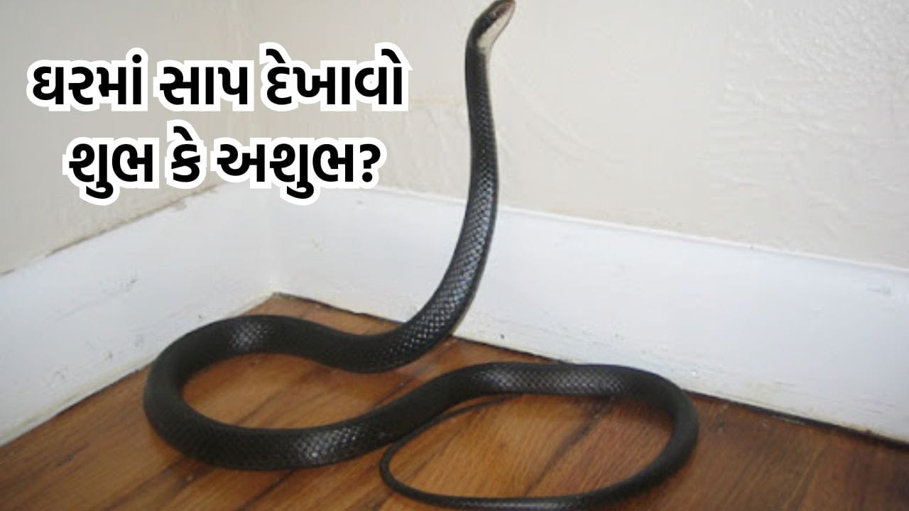 Vastu Tips: ઘરમાં સાપનુ આવવું શુભ કે અશુભ? શું કહે છે વાસ્તુ શાસ્ત્ર?- આ ત્રણ સંકેત બદલી નાખશે તમારુ જીવન