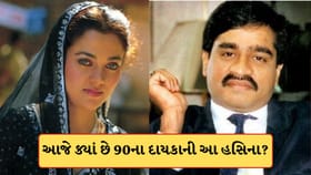 પહેલા દાઉદ, પછી ગ્લેમર લાઈફ છોડી ભિક્ષુ સાથે લગ્ન, ક્યા છે મંદાકિની?