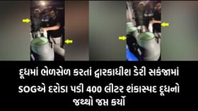 ઝાંઝમેર: દૂધમાં ભેળસેળ કરતી ડેરી પર SOGના દરોડા, 400 લીટર જથ્થો ઝડપાયો