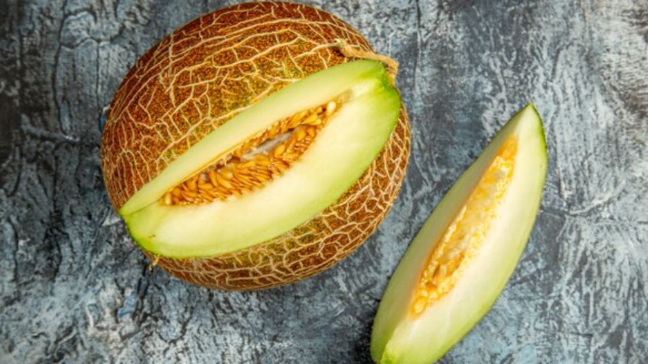 આવા કાળઝાળ ગરમીમાં ડિહાઇડ્રેશનથી બચવા માટે શરીરને હાઇડ્રેટેડ રાખવું ખૂબ જ જરૂરી હોય છે. આ માટે શક્કરટેટી અને તરબૂચ જેવા પાણીયુક્ત ફળોનું સેવન કરવું જોઈએ. 