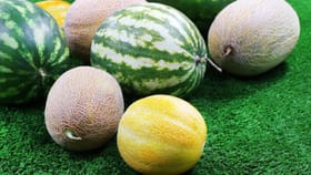 Health Tips: શક્કરટેટી કે તરબૂચ, ઉનાળામાં કયું ફળ વધુ અસરકારક?