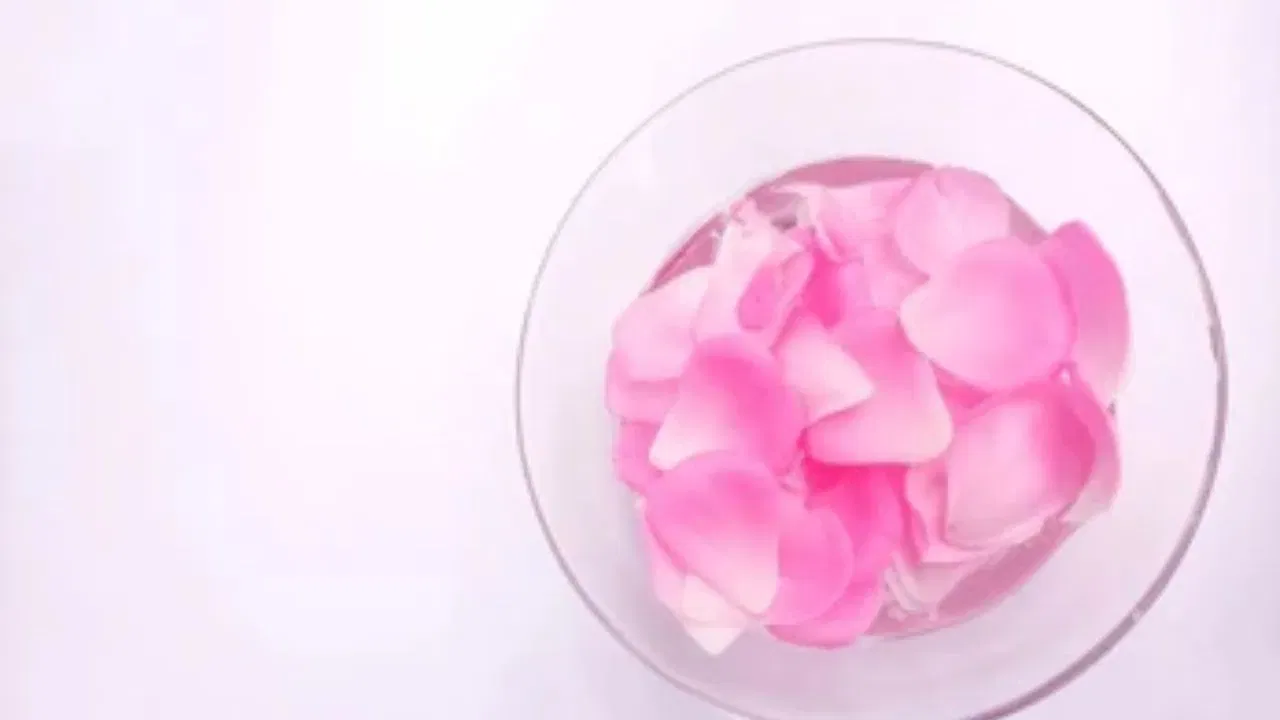 એક ગ્લાસ પાણીથી ભરો અને તેમાં થોડું ગંગાજળ ઉમેરો. પછી, પાણીમાં ગુલાબની પાંખડીઓ ઉમેરો અને ગ્લાસને ઘરના એક ખૂણામાં છુપાવો. તેને ઓછામાં ઓછા એક આખો દિવસ અથવા 24 કલાક ત્યાં રહેવા દો. પછી, બીજા દિવસે પાણીનો રંગ તપાસો કે તે બદલાઈ ગયું છે કે નહીં. જો પાણીનો રંગ સંપૂર્ણપણે બદલાઈ ગયો છે, તો તેનો અર્થ એ છે કે ઘરમાં કોઈ નકારાત્મક ઉર્જા હાજર છે. (ફોટો ક્રેડિટ-Google)