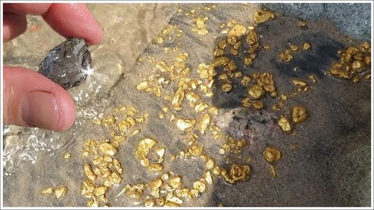 જોકે, ખરીદી થઈ રહી છે, ત્યારે કેટલાક દેશો આર્થિક દબાણને કારણે તેમનું સોનું પણ વેચી રહ્યા છે. ફેબ્રુઆરીમાં તુર્કી અને રશિયાના સોનાના ભંડારમાં સૌથી મોટો ઘટાડો જોવા મળ્યો. તુર્કીએ 8 ટન અને રશિયાએ 6 ટન વેચ્યા. ઈરાન યુદ્ધને કારણે ગંભીર આર્થિક દબાણ અને વિદેશી વિનિમય (FX) જરૂરિયાતોને પહોંચી વળવા માટે તુર્કીને માર્ચમાં અંદાજે 120 ટન સોનું વેચવું પડ્યું.